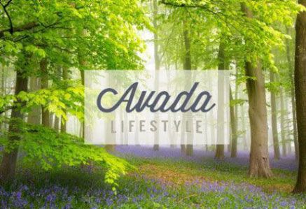 Avada Lifestyle Demo chuphinh360do